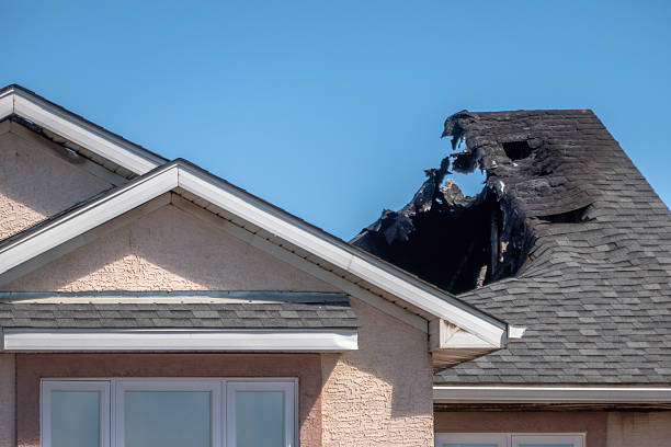 Top rated local Fire Damage Removal specialists in Robbinsville, NJ